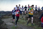 Click on thumbnail for larger photo
