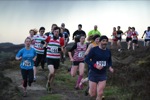 Click on thumbnail for larger photo