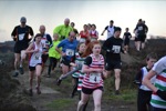 Click on thumbnail for larger photo