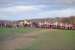 Click on thumbnail for larger photo