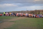 Click on thumbnail for larger photo