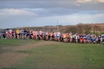 Click on thumbnail for larger photo