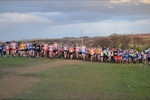 Click on thumbnail for larger photo
