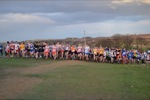 Click on thumbnail for larger photo
