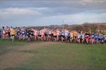 Click on thumbnail for larger photo
