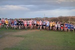 Click on thumbnail for larger photo
