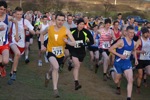 Click on thumbnail for larger photo