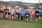Click on thumbnail for larger photo