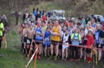 Click on thumbnail for larger photo