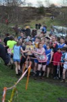 Click on thumbnail for larger photo