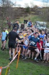 Click on thumbnail for larger photo