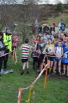 Click on thumbnail for larger photo