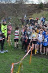 Click on thumbnail for larger photo