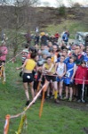 Click on thumbnail for larger photo