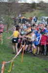 Click on thumbnail for larger photo