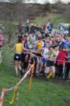 Click on thumbnail for larger photo