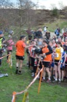 Click on thumbnail for larger photo