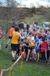 Click on thumbnail for larger photo