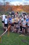 Click on thumbnail for larger photo