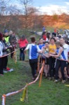Click on thumbnail for larger photo