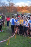 Click on thumbnail for larger photo