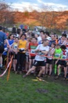 Click on thumbnail for larger photo