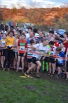 Click on thumbnail for larger photo