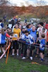 Click on thumbnail for larger photo