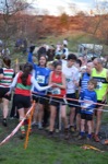 Click on thumbnail for larger photo