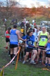 Click on thumbnail for larger photo