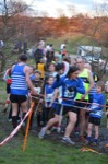 Click on thumbnail for larger photo