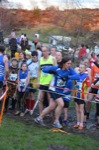 Click on thumbnail for larger photo