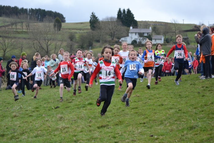 Photo DSC_0990.JPG copyright &copy; 2013 Dave Woodhead