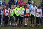 Click on thumbnail for larger photo