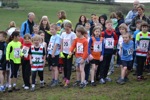 Click on thumbnail for larger photo
