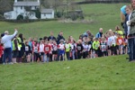 Click on thumbnail for larger photo