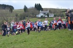 Click on thumbnail for larger photo