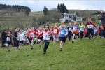Click on thumbnail for larger photo