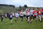 Click on thumbnail for larger photo