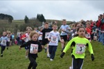 Click on thumbnail for larger photo