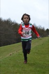 Click on thumbnail for larger photo