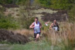Click on thumbnail for larger photo