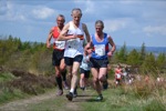 Click on thumbnail for larger photo