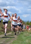 Click on thumbnail for larger photo