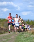 Click on thumbnail for larger photo