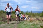 Click on thumbnail for larger photo