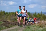Click on thumbnail for larger photo