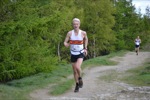 Click on thumbnail for larger photo
