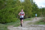 Click on thumbnail for larger photo