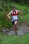 Click on thumbnail for larger photo